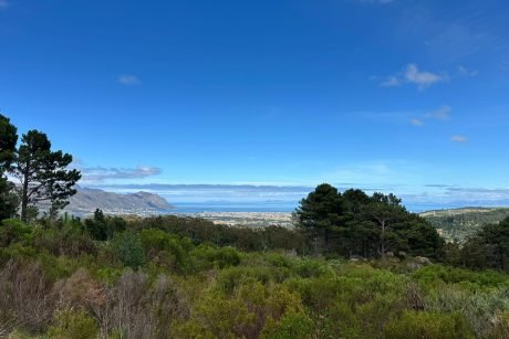 False Bay